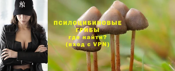 ALPHA-PVP Няндома
