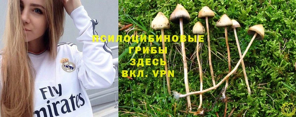 кокаин премиум Нязепетровск